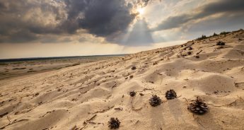 Sahara blisko domu